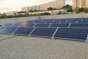 El Ayuntamiento instala 3.000 paneles fotovoltaicos en las cubiertas de las dependencias municipales de Alicante