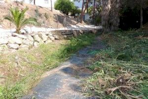 El Ayuntamiento ejecuta las tareas de mantenimiento del Barranco de L’Olla contra especies invasoras
