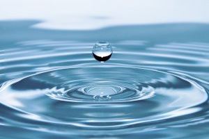 El Grupo Economía del Agua de la UV forma expertos en proyectos de economía circular y gestión pública del abastecimiento urbano del agua