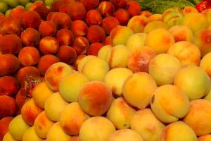 Agricultura inicia la consulta pública del real decreto sobre ayudas a centrales de acondicionamiento de fruta afectadas por las heladas
