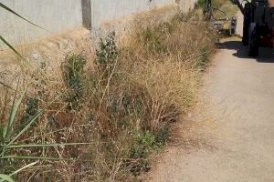 El Ayuntamiento de Vinaròs desbroza los restos vegetales de los caminos rurales