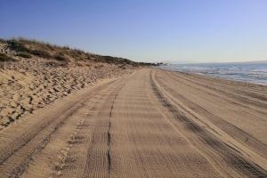 Margalló-Ecologistes en Acció solicita cambios en el servicio de limpieza de las playas de Elche