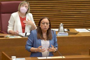Las Cortes aprueban la reforma del Reglamento, a propuesta de VOX, para que se puedan tramitar Iniciativas Legislativas Populares