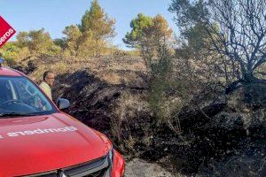 Incendi a Alacant: Es cremen 1.400 metres quadrats de pineda en Vall d'Alcalá