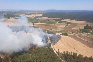 Los bomberos estabilizan el incendio forestal en Requena