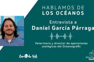 El responsable veterinario del Oceanogràfic reivindica la necesidad de “conservar los océanos” con un enfoque One Health