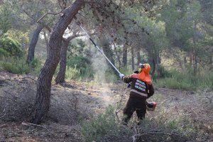 L'Ajuntament de Sagunt instarà les autoritats autonòmiques que augmenten el pressupost de prevenció d'incendis forestals
