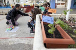 Castelló involucra a 6.500 escolars en la campanya d'educació ambiental de Eduquem en Verd
