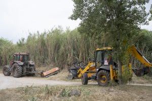 La Diputació de Castelló inverteix 1,1 milions d'euros en 2022 en la neteja i conservació de camins i pistes forestals