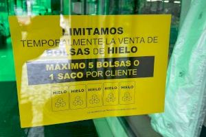 Comencen a escassejar les bosses de gel en els supermercats valencians