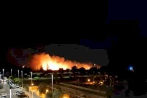 VIDEO | Un incendio calcina 1.000 hanegadas de pasto en Catarroja