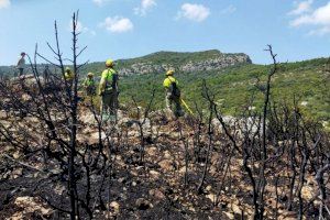 Detenen a un piròman per l'incendi forestal en la Tinença de Benifassà