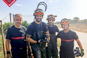 Els bombers rescaten a un gos atrapat en una canonada de reg d'Almoradí