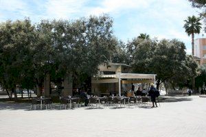 Almassora propone adjudicatario para la gestión del bar de la plaza Santa Isabel