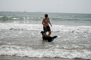 La OCU solicita al Ayuntamiento de Valencia que sancione la falta de recogida de excrementos de perro en sus playas