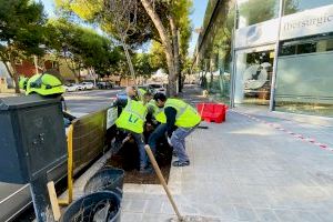 Valencia plantará casi 1.300 árboles este otoño