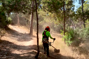 La brigada forestal prosigue con las labores de prevención de incendios en El Vedat
