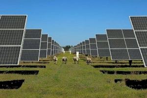 Les plantes fotovoltaiques d'Albaida repercutiran més de 23 milions d'euros de benefici directe a la comarca