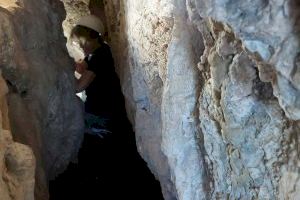 Arqueólogos del MARQ hallan relevantes cerámicas del Neolítico en una grieta de la Cova de l’Or de Beniarrés