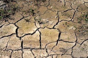 ASAJA estima que las pérdidas sufridas por la sequía pueden alcanzar los 8.000 millones de euros
