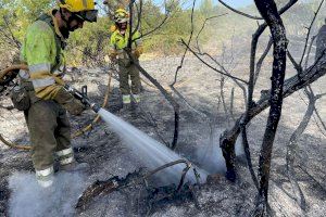 El PPCS propone activar ayudas para zonas afectadas por el fuego que no entren en la categoría de grandes incendios forestales