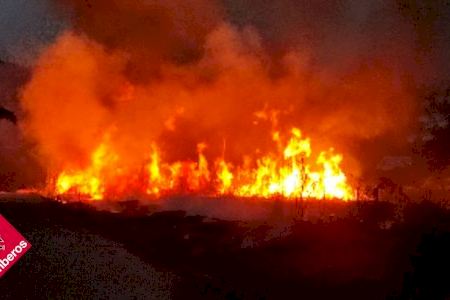 Se incendia una zona de cultivos en la marjal Oliva-Pego