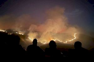 VIDEO | Un incendio devora La Vall d'Ebo