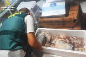 Intervienen una tonelada de pescado ilegal en locales por todo Alicante