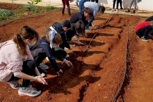 Almassora forma a casi 1.900 estudiantes en agricultura ecológica