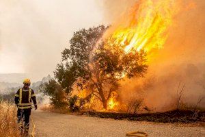 L'incendi de la Vall d'Ebo continua descontrolat i ja ha calcinat 9.500 hectàrees