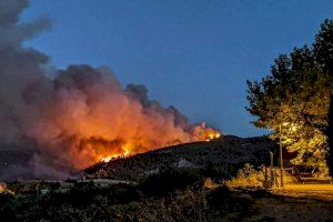 70.000 animales podrían haber muerto abrasados en el incendio del Vall d'Ebo