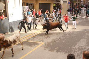 Convocan una concentración contra los festejos taurinos en Alfafar