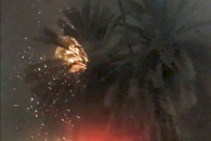 Palmera ardiendo en Av. Aragón tras el impacto de un rayo / BORJATARAZONA @borjataraz 
