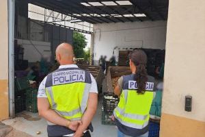 Tres detinguts a Alacant per explotar a immigrants que treballaven de sis del matí a deu de la nit