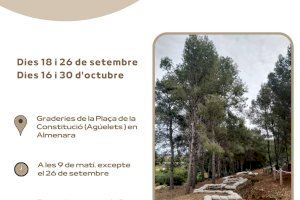 Les visites guiades al conjunt memorial de darrere del castell d'Almenara partiran de la Plaça Constitució en setembre i octubre