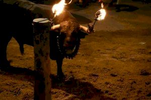 El toro embolado por niños en Nàquera tendrá consecuencias legales para los cuatro responsables