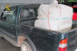 Dos personas detenidas por robar más de 200 kilos de algarrobas en Onda