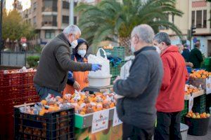 Castelló organiza una reunión informativa con el sector citrícola local para abordar la próxima Fira de la Taronja