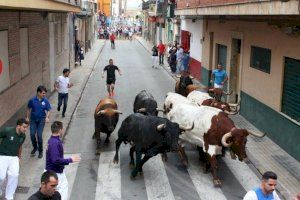 Els bous al carrer marquen les distàncies entre els partits polítics valencians