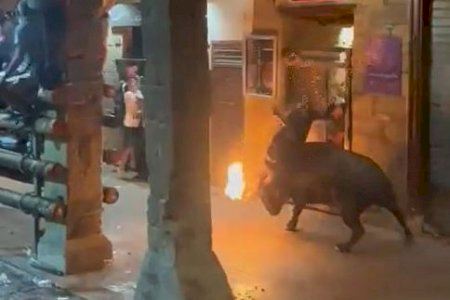 VIDEO | El toro embolado embiste a un aficionado taurino en Morella