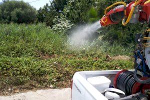 Lluita contra els mosquits: Calendari de tractaments esta setmana a Castelló