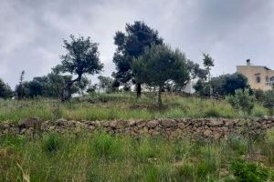 Benitatxell recuperarà els seus murs de pedra seca, declarats Patrimoni Immaterial de la Humanitat per la UNESCO