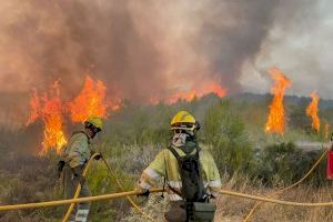 El Consell anuncia planes de recuperación y reactivación de las zonas afectadas por los incendios forestales