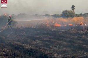 Un incendio en Vila-real arrasa una zona de cultivo abandonado