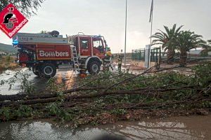 Árboles caídos y desprendimientos en Alicante por las lluvias de ayer