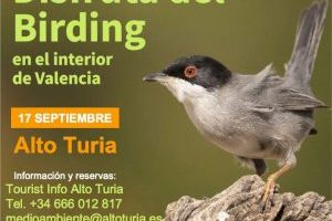 El Alto Turia organiza una jornada de turismo ornitológico para todos los públicos