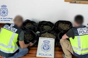 Una persecución policial en Elda acaba con dos detenidos por transportar más de 13 kilos de marihuana