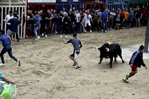 L'alcaldessa de Borriana demana un plus de responsabilitat perquè “el bou no és una broma”