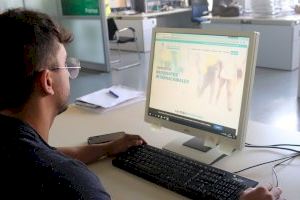Diputación ofrece un curso online gratuito de español para residentes internacionales