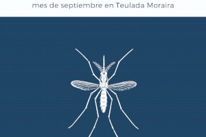 Actuaciones de control de plagas durante el mes de septiembre en Teulada Moraira